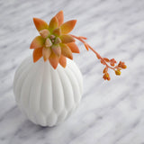 Petite Textured Porcelain Vase - Mulberry Home Store